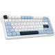 Клавиатура Ajazz AK820MAX-DD-BWD