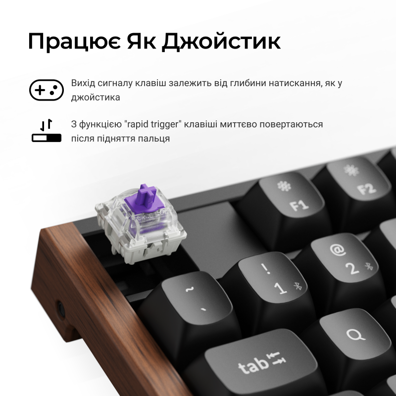 Клавиатура Keychron K10 HE Magnetic Switch Black RGB (K10H-F1-UA)