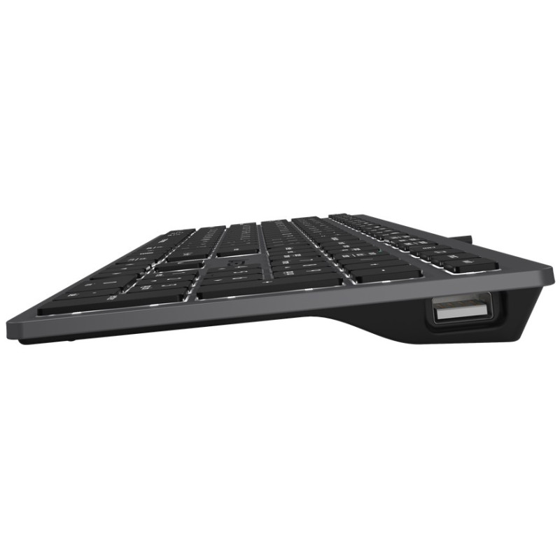 Клавиатура A4Tech FX60 Grey White Backlit