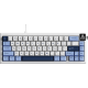 Клавіатура Ajazz AK650 Sea Salt switches Blue White Blue (AK650-SS-BWB)