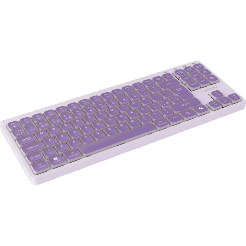 Клавиатура Canyon OnType 10 Violet (CNS-HKB10V)