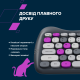 Комплект Canyon HSET-W6 Kitty Edition Violet (CNS-HSETW6VT)