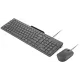 Комплект Lenovo 310 USB-A Wired Combo Ukraine (GX31R09776)