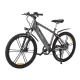 Электровелосипед Maxxter Ranger Gray