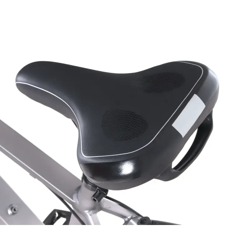 Электровелосипед Maxxter Ranger Gray