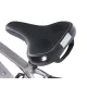 Электровелосипед Maxxter Ranger Gray