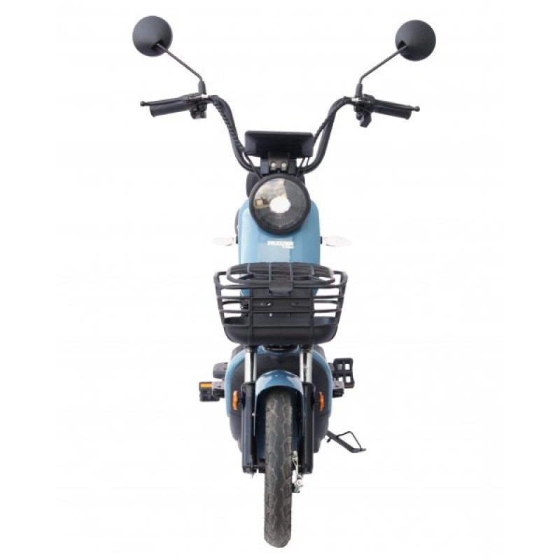 Електровелосипед Maxxter E1000 (Blue)