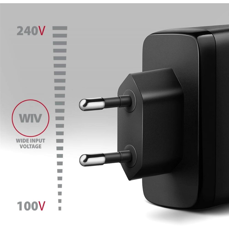 Зарядное устройство AXAGON ACU-DPQ100