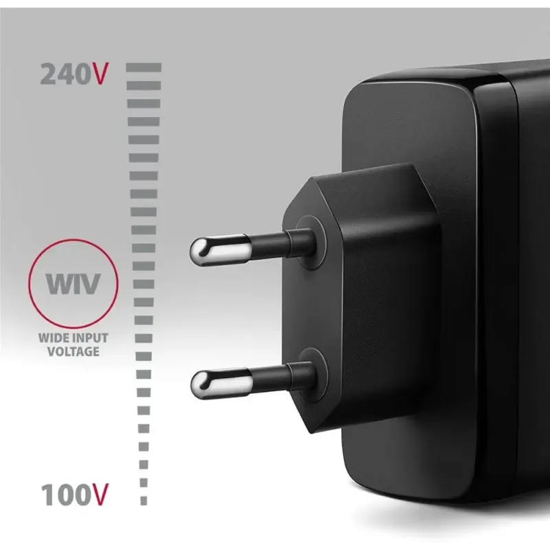 Зарядное устройство AXAGON ACU-DPQ100