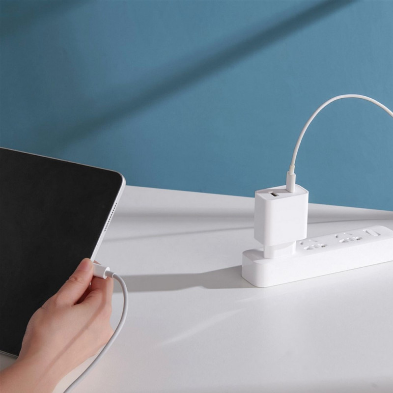 Xiaomi Mi 33W Wall Charger (Type-A+Type-C) EU White (BHR4996GL)