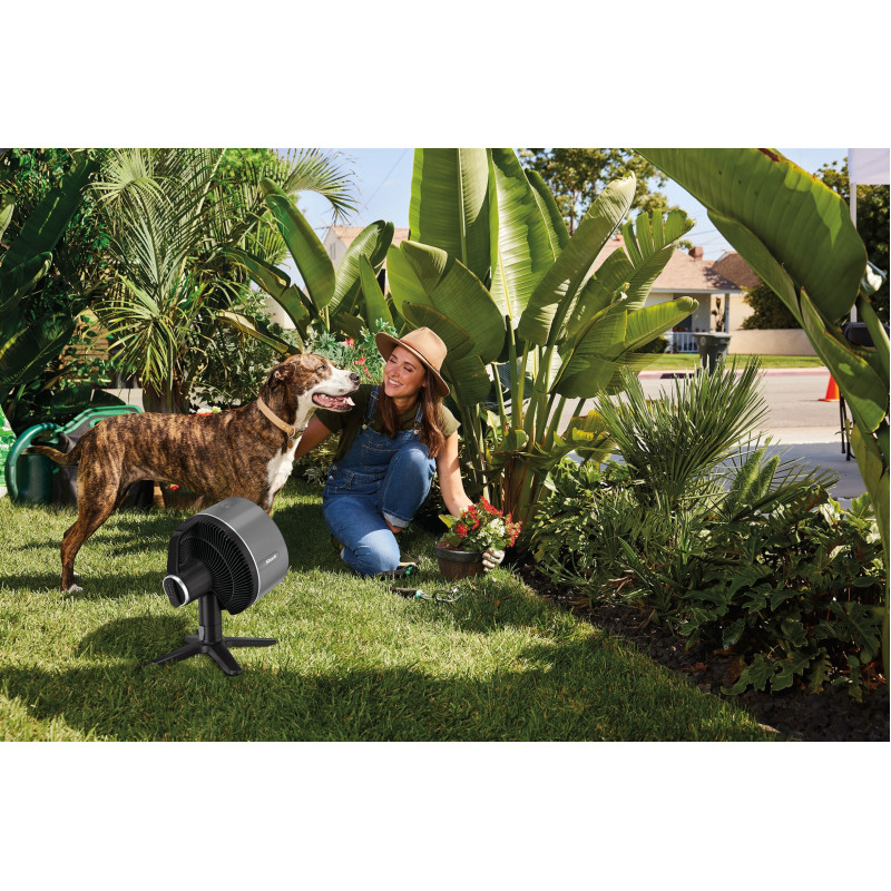 Вентилятор Shark FA150EU