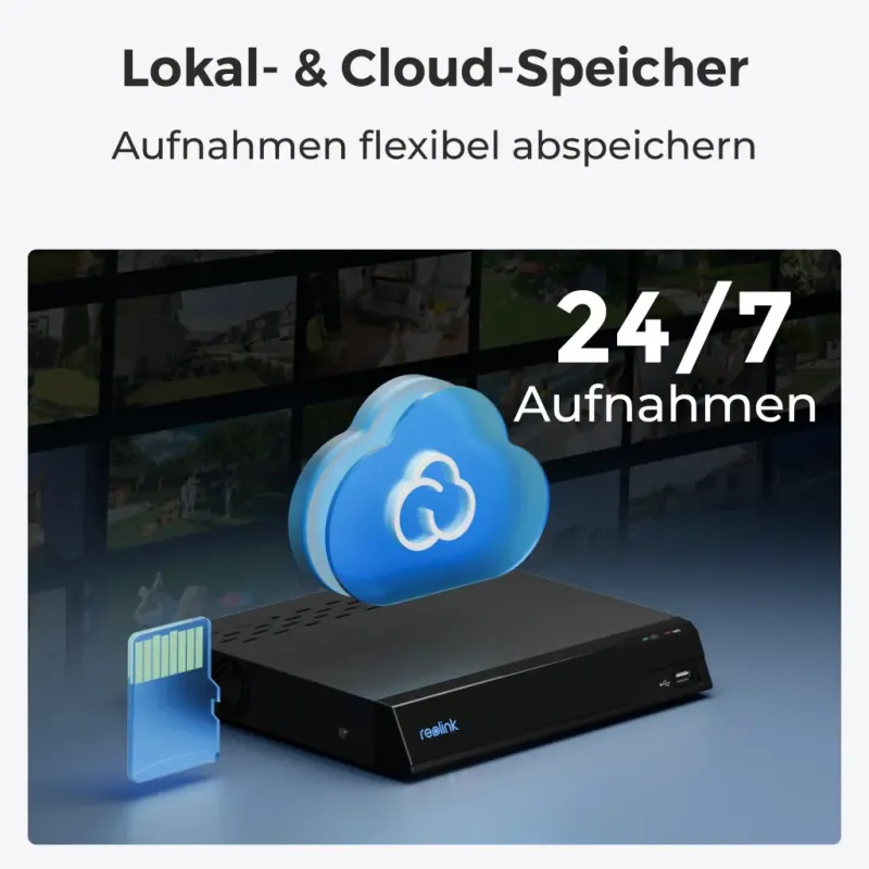 IP Камера Reolink E320 (E1) (E320)