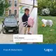 IP Камера TP-Link Tapo C630 KIT