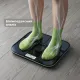 Ваги підлогові RENPHO Elis Solar 2 Smart Body Scale Black (R-A020-BK)