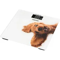 Весы напольные ZELMER ZBS1010 Crazy dog