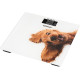 ZELMER ZBS1010 Crazy dog