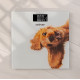 ZELMER ZBS1010 Crazy dog