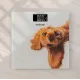 Ваги підлогові ZELMER ZBS1010 Crazy dog