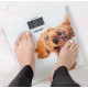 ZELMER ZBS1010 Crazy dog