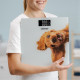 ZELMER ZBS1010 Crazy dog