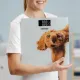 Ваги підлогові ZELMER ZBS1010 Crazy dog
