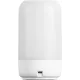 Лампа Tesla TechToy TSL-LIG-TLAMP
