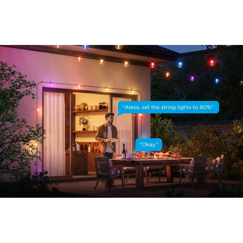 Лампа Govee H7025 Outdoor Clear Bulb String Lights, WI-FI/Bluetooth (H7025CB1)