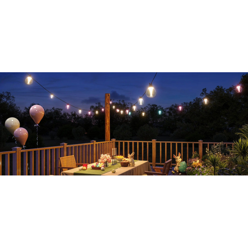 Лампа Govee H7025 Outdoor Clear Bulb String Lights, WI-FI/Bluetooth (H7025CB1)