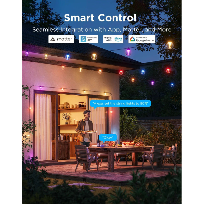 Лампа Govee H7025 Outdoor Clear Bulb String Lights, WI-FI/Bluetooth (H7025CB1)