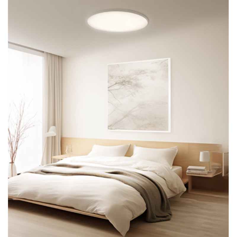 Потолочный светильник Xiaomi Smart Ceiling Light D40 (BHR9933GL)