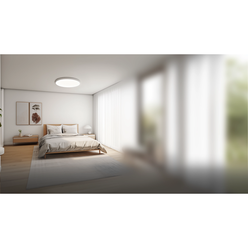 Потолочный светильник Xiaomi Smart Ceiling Light D40 (BHR9933GL)