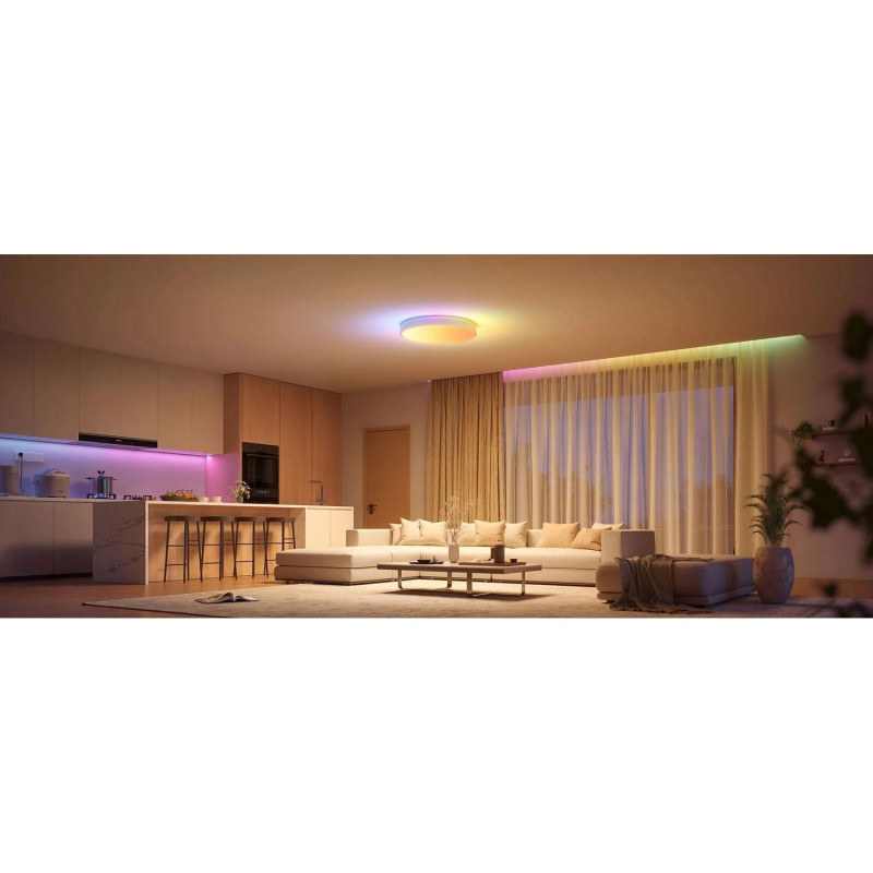 Потолочный светильник Govee 38cm Smart Ceiling Light Pro белый (H60A6C01)