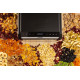 Сушарка для овочів і фруктів Gorenje FDK600DB