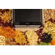 Сушарка для овочів і фруктів Gorenje FDK600DB