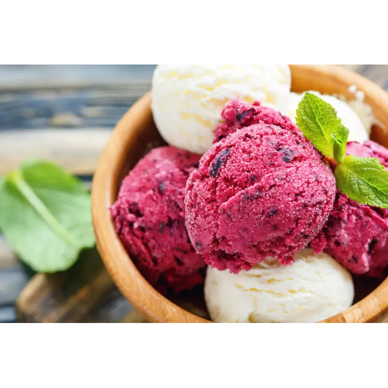 Cuisinart Solo Scoops ICEM10E