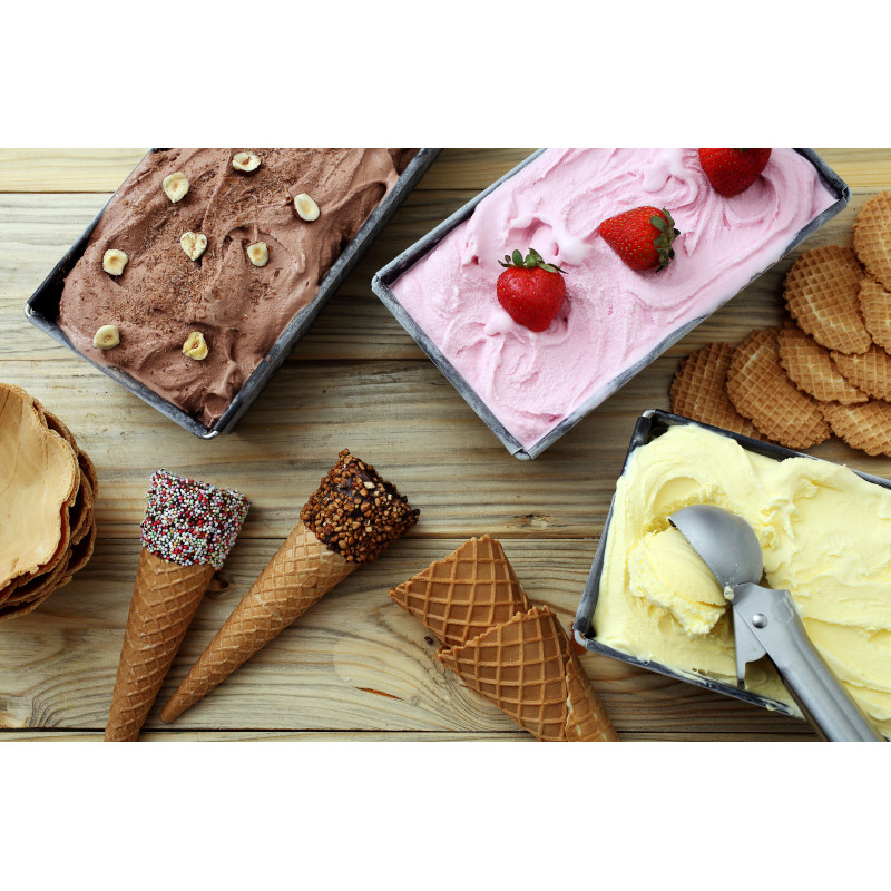 Cuisinart Solo Scoops ICEM10E