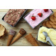 Cuisinart Solo Scoops ICEM10E