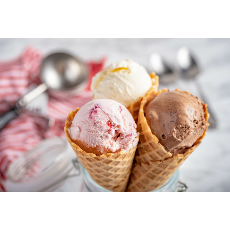 Cuisinart Solo Scoops ICEM10E