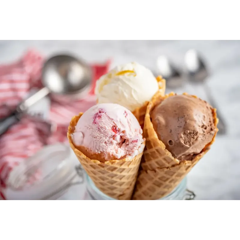 Cuisinart Solo Scoops ICEM10E