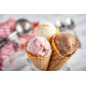 Cuisinart Solo Scoops ICEM10E