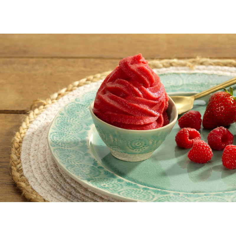 Cuisinart Solo Scoops ICEM10E