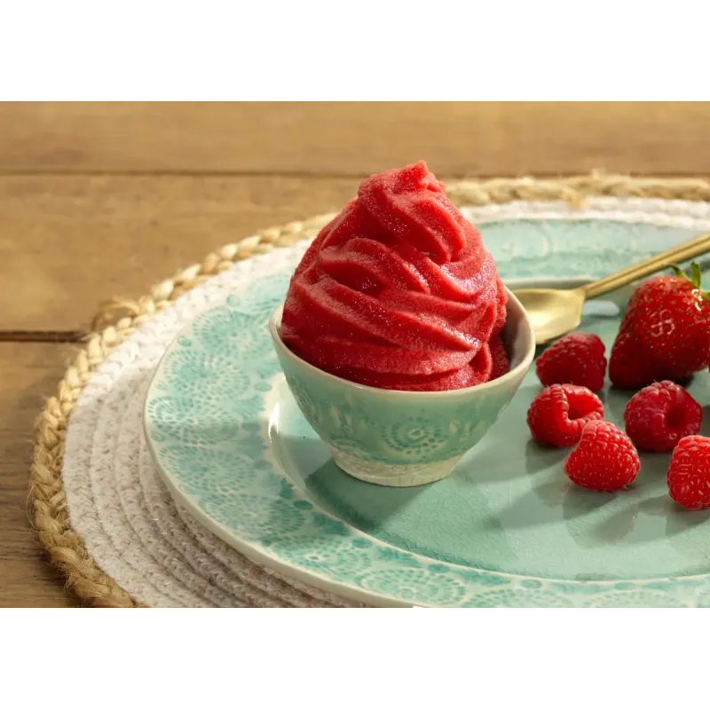 Cuisinart Solo Scoops ICEM10E