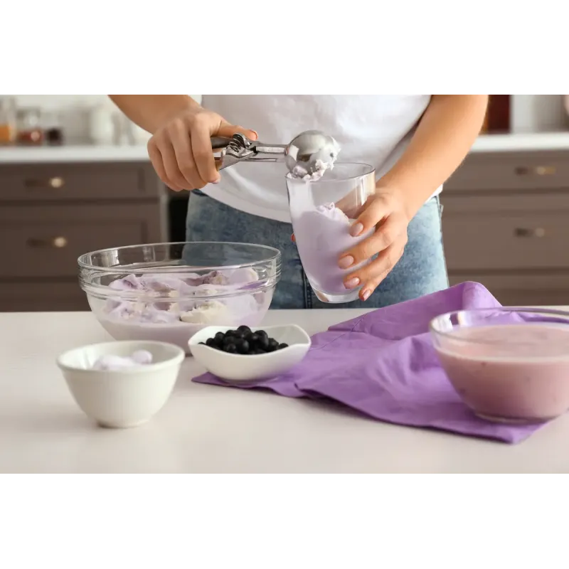 Cuisinart Solo Scoops ICEM10E