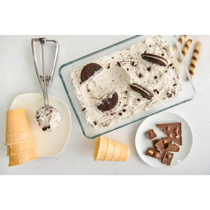 Cuisinart Solo Scoops ICEM10E