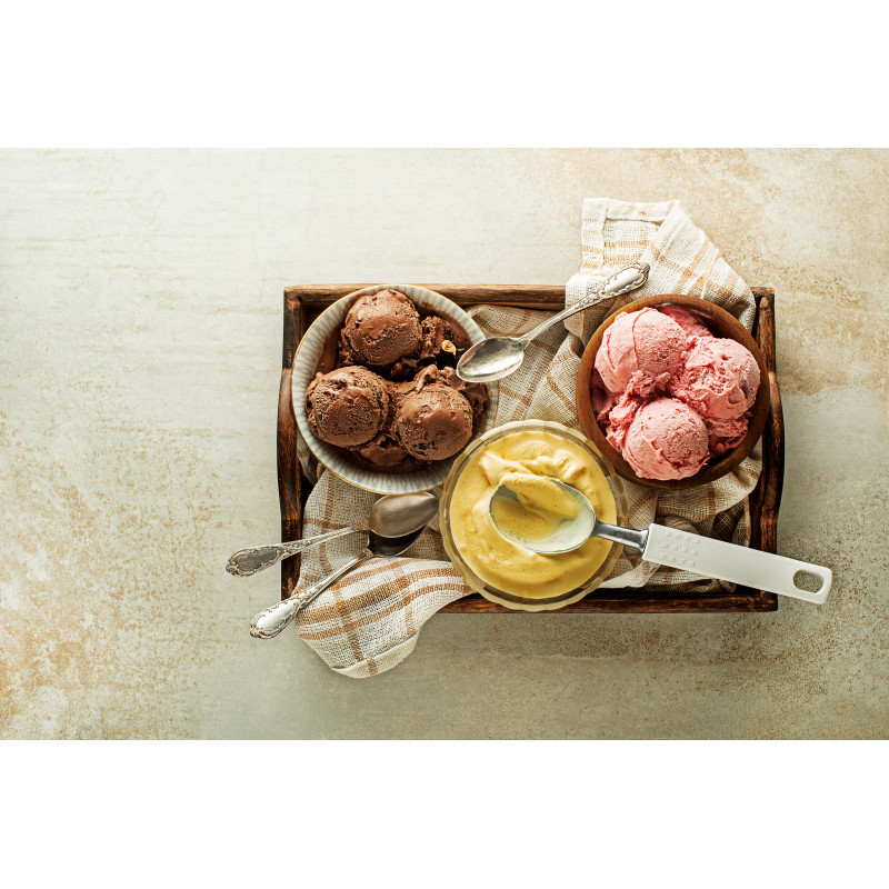 Cuisinart Solo Scoops ICEM10E
