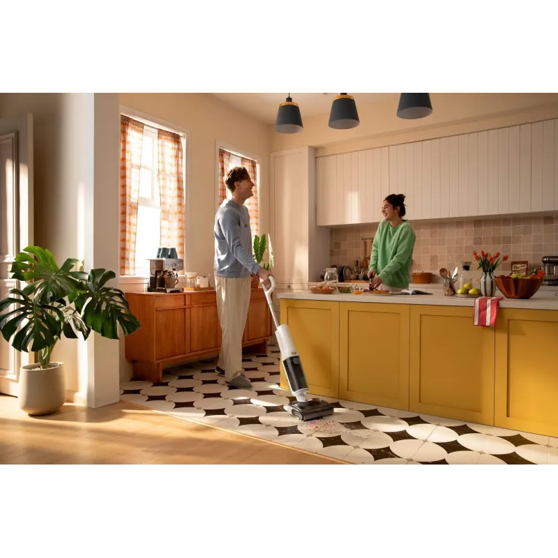 Пылесос Roborock F25 RT