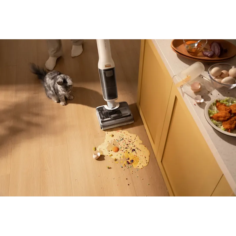 Пылесос Roborock F25 RT