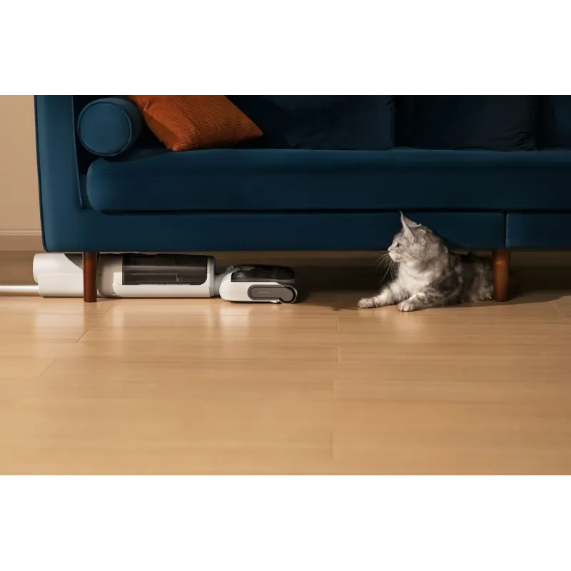 Пылесос Roborock F25 RT