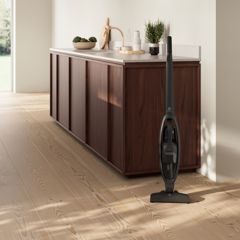 Пылесос Electrolux ES31CB18GG