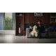 Пилосос Tineco Floor One S9 Artist Premium (FW2C0700DE)